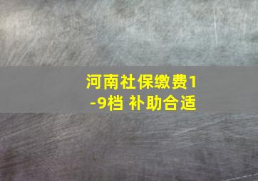 河南社保缴费1-9档 补助合适